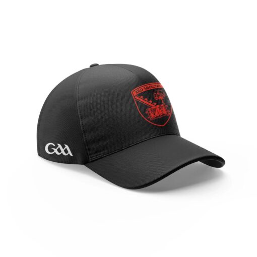 True fans of Armagh GAA's:for Fans